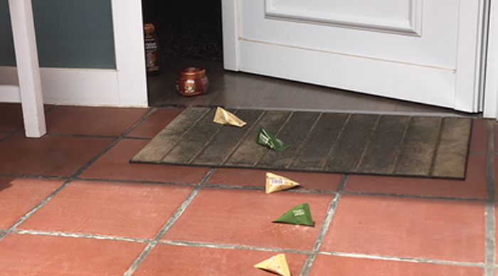 ¡Invita a tus amigas y familiares a compartir experiencias con Original Remedies!