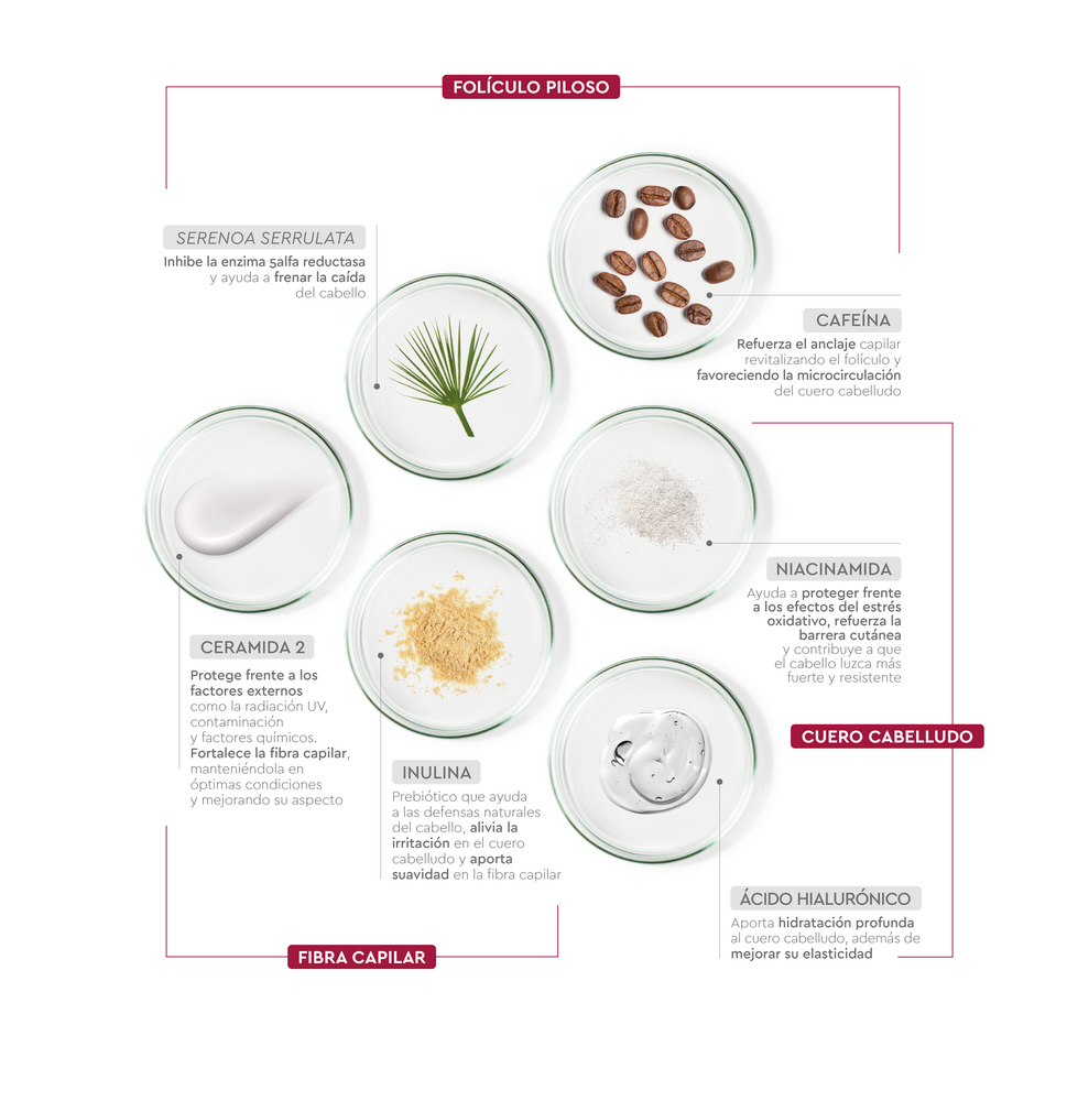 Pilexil Ingredientes 