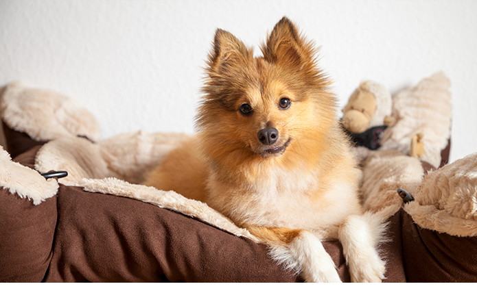 Tiene su propio espacio en casa.