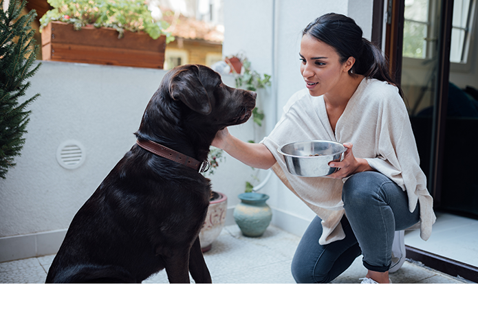 Buscas su mejor alimentación. 