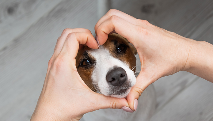 Nos despedimos convertidos en expertos