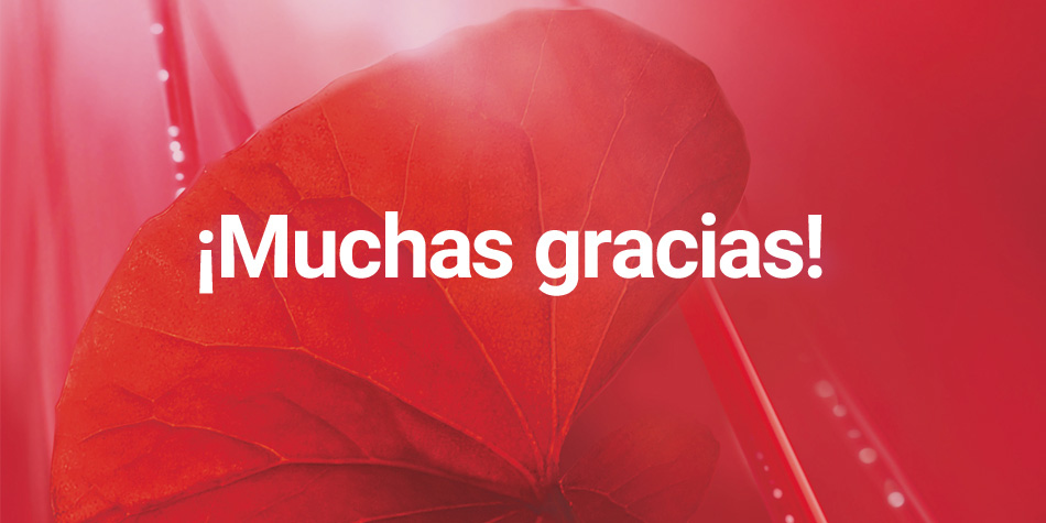 Muchas gracias
