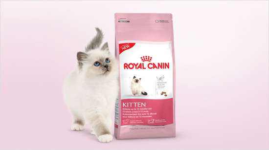 Royal Canin Kitten es un alimento especialmente formulado para gatitos de 4 a 12 meses de edad, que les aporta todos los nutrientes necesarios para un crecimiento óptimo.