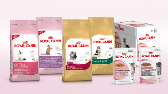 La marca ha creado una gama para la alimentación de los gatitos a partir de los 4 meses adaptada a algunas características y razas…