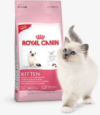 Royal-Canin-Kitten