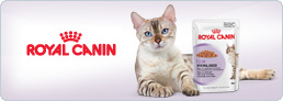 Blog Royal Canin Sterilised Húmedo