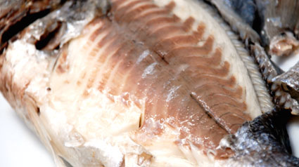 trnd Lubina a la sal con Tapenade