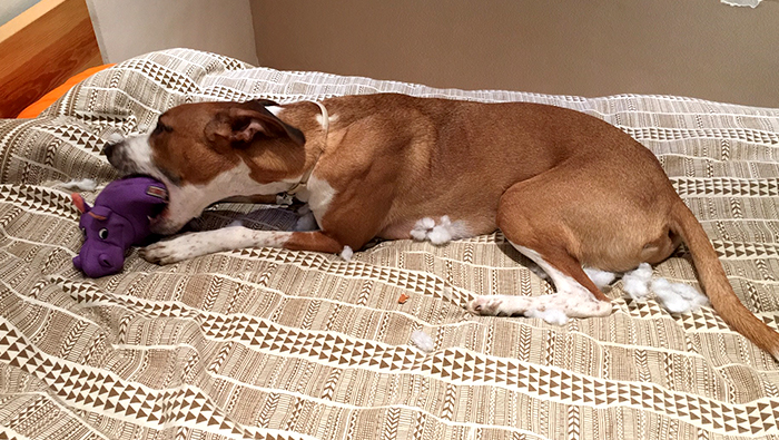 corticosteroides-nervios