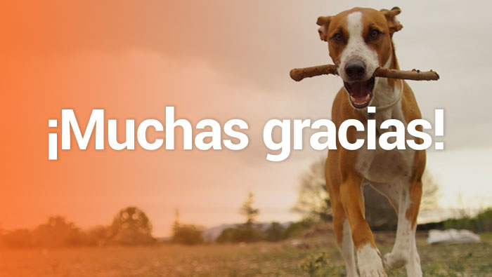 muchas gracias