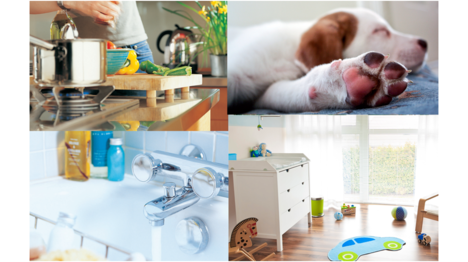 Por eso es tan importante una buena desinfección en el hogar, especialmente en cocinas, baños, zona de mascotas, zona de bebé o incluso en los textiles…