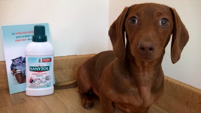 Sanytol y el peludo del trndiano JavierV.