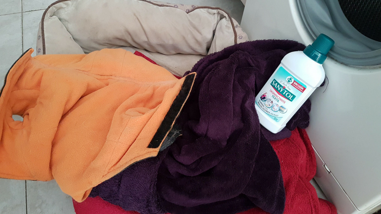 Sanytol Desinfectante Textil Desinfectante textil sin lejía para lavadora  elimina los olores de raíz