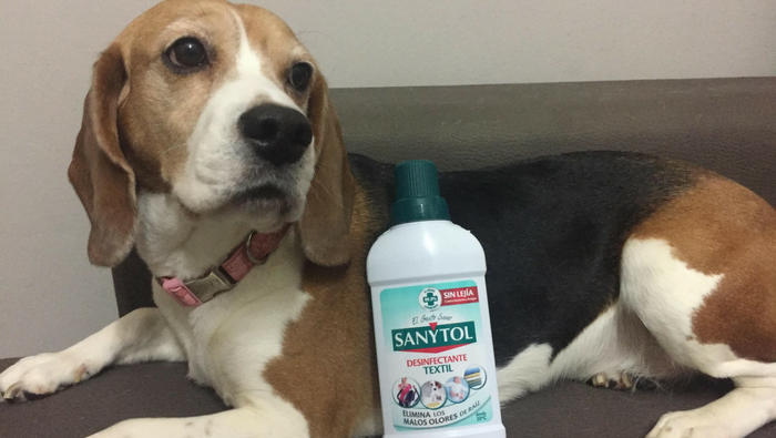 La trndiana lilroro ya es una experta en la desinfección.