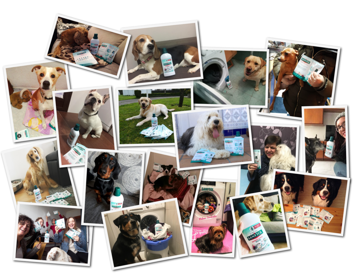 Nuestras coladas: ¡Desinfectadas!