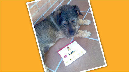 testimonio Scalibor trndiana binibeca