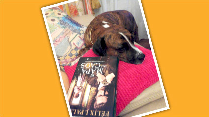 trndiana-maribelpalma-jpg