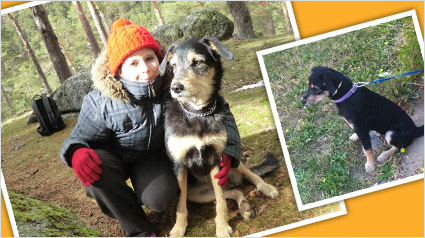 testimonio Scalibor trndiana niobyta 