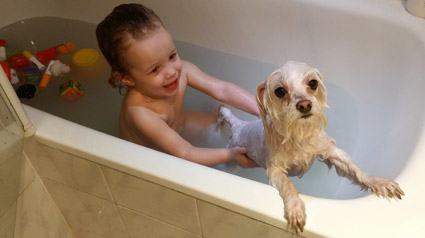 testimonio-scalibor-trndiana-bh-1984-jpg