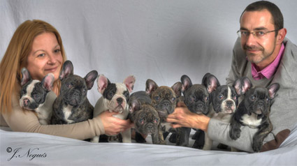 testimonio-scalibor-trndiana-arriquitaum-jpg