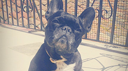 testimonio-scalibor-trndiana-anitanorita-jpg