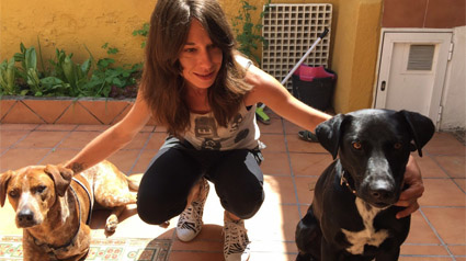 testimonio-scalibor-trndiana-killbitch-jpg