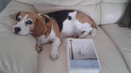 testimonio-scalibor-trndiana-martacg2008-jpg