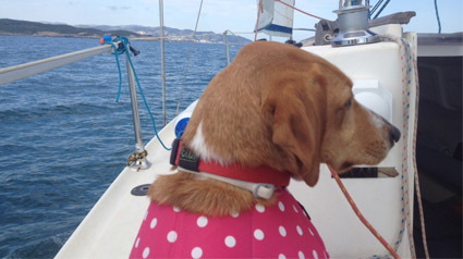 testimonio-scalibor-trndiana-mislilith-jpg