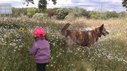 testimonio Scalibor trndiana nataliafb