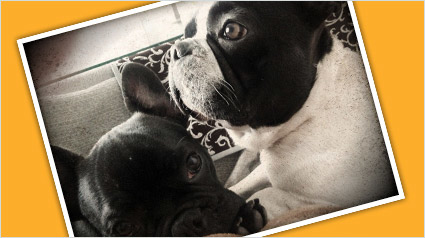 testimonio-scalibor-trndiana-pinklady86-jpg