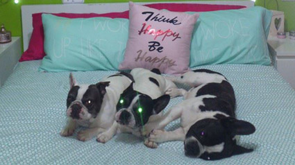 testimonio-scalibor-trndiana-vapigu89-jpg