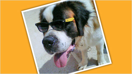 testimonio-scalibor-trndiano-edmon-jpg