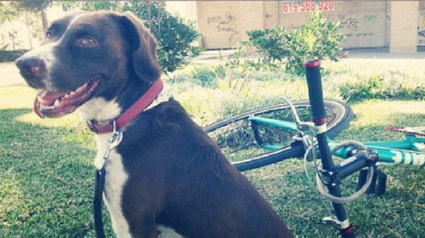 testimonio-scalibor-trndiano-jdelachica-jpg