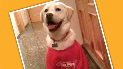 testimonio-scalibor-trndiano-JustoMS-jpg