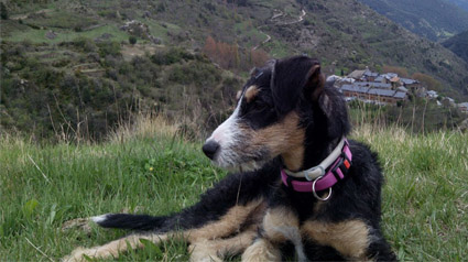 testimonio-scalibor-trndiana-sanlloma-jpg