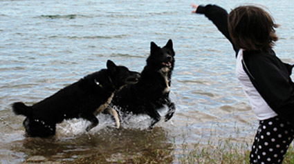 testimono-scalibor-trndiana-tazi-jpg