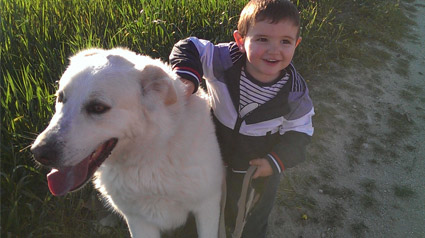 testimonio-scalibor-trndiana-letirs-jpg