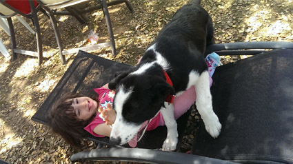 testimonio-scalibor-trndiana-manguirulita-jpg