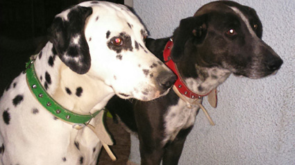 testimonio scalibor Barbie3 