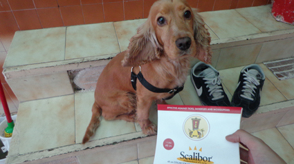 Lulu el cómplice de la trndiana hydria con su collar Scalibor