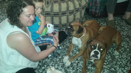 testimonio Scalibor trndiana IASEUF