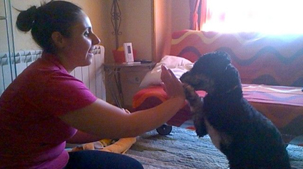 testimonio Scalibor trndiana Noelialp