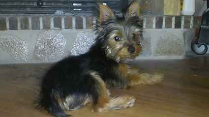 Nana en su momento de relax