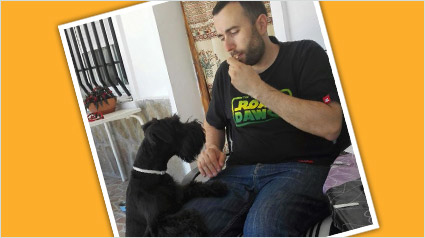 El trndiano drfox y su cómplice Golfo