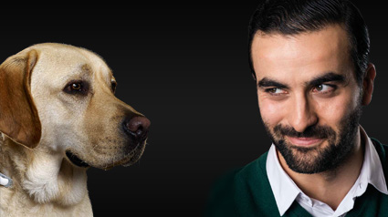 ¿Existe riesgo de que mi perro se contagie de leishmaniosis?