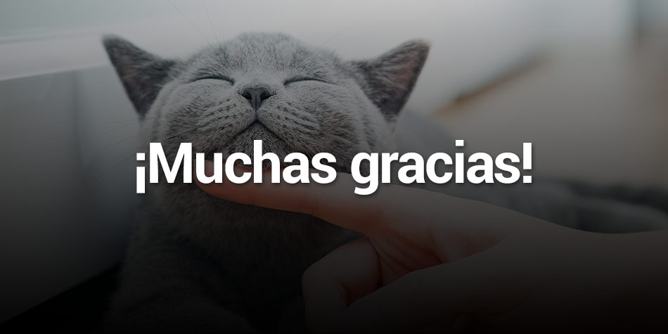 Muchas gracias