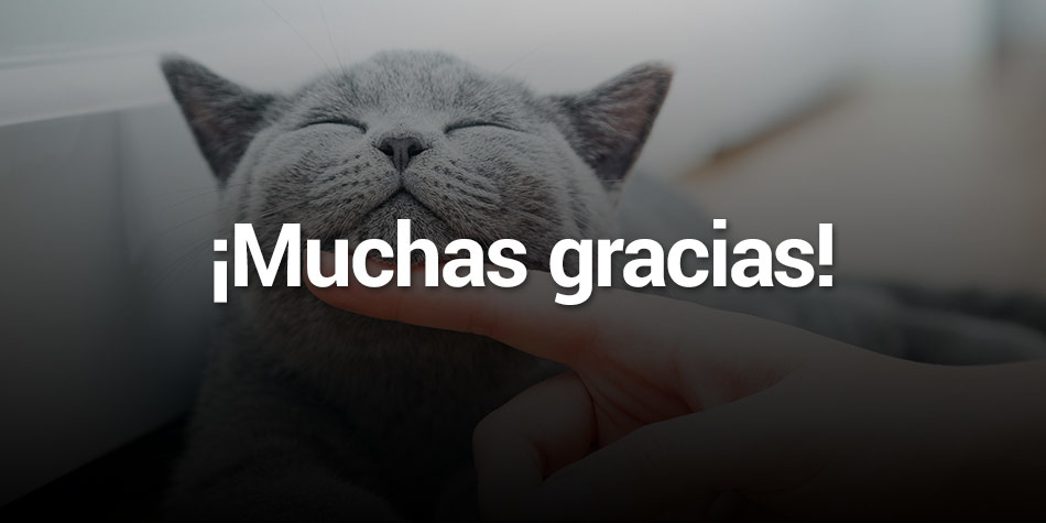 ¡Muchas gracias!