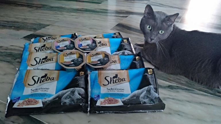 ... nos transmiten todas sus opiniones...