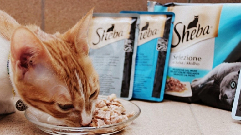 ... a través de la Encuesta final.