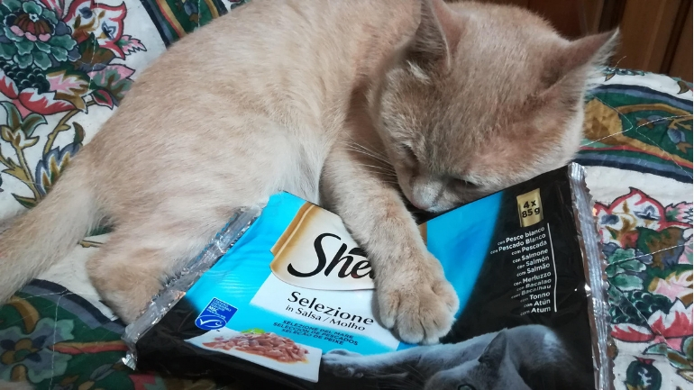 ¡Es la hora de completarla!