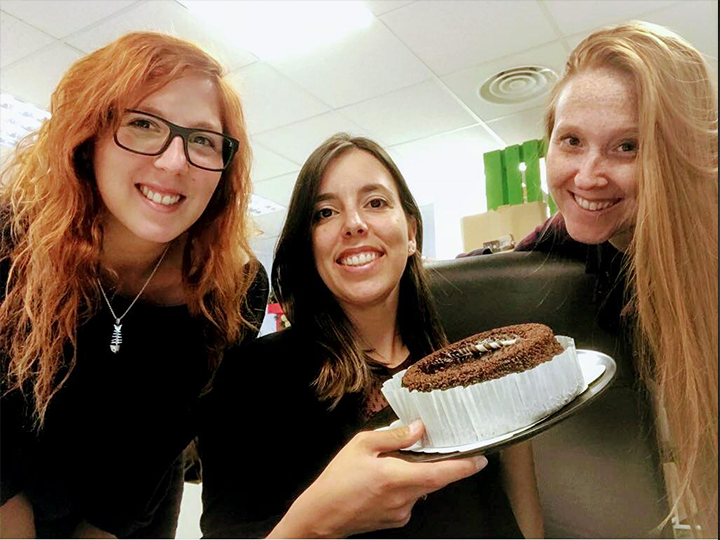 Pastel Mousse de Chocolate